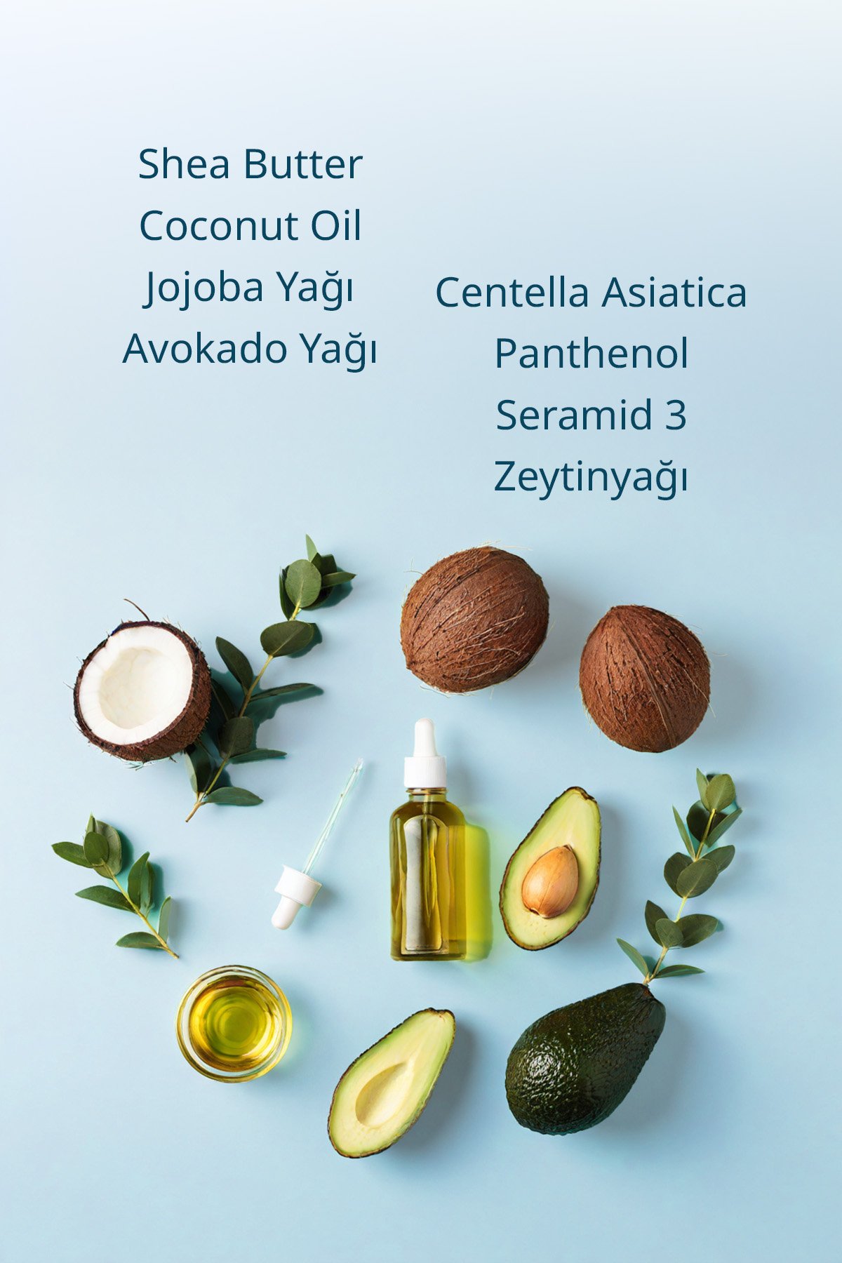 Yoğun Nemlendirici Losyon – Onarım ve Koruma Etkili 400 ML